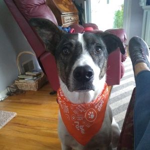 Meet your Posher, Suzanne